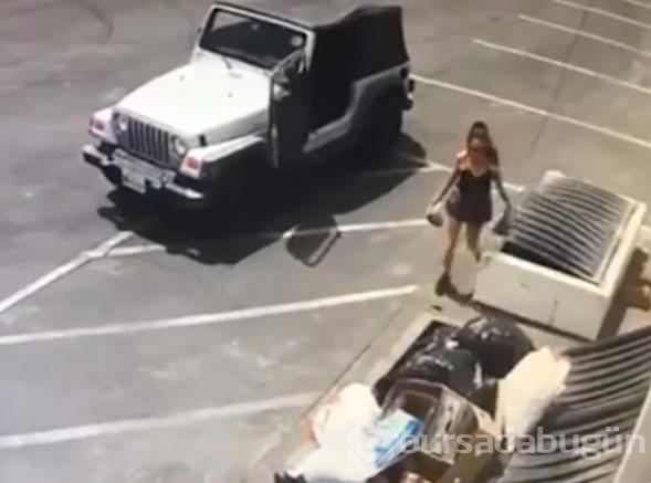 İnsanlık dışı olay: Köpek yavrulaını canlı canlı çöpe attı!
