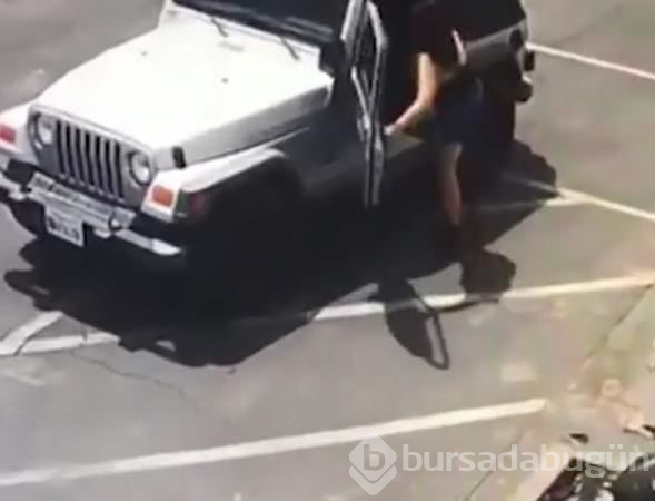 İnsanlık dışı olay: Köpek yavrulaını canlı canlı çöpe attı!
