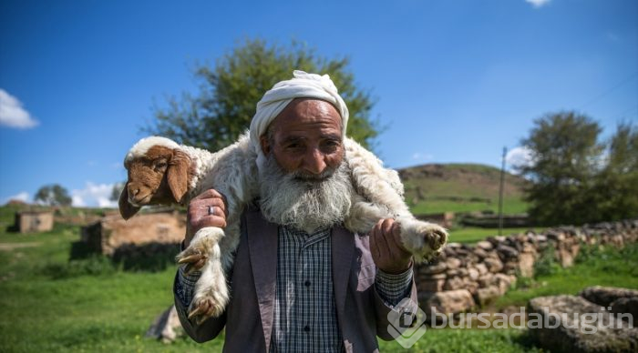 5 bin lira aylığa çoban bulamıyorlar
