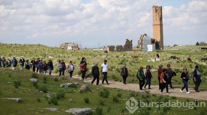 UNESCO adayı Harran'da turizm bereketi
