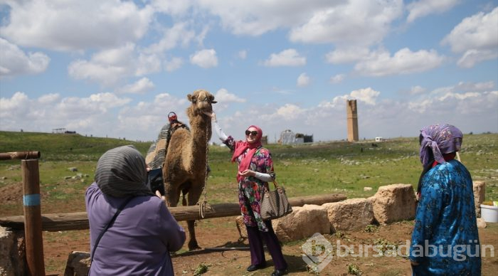 UNESCO adayı Harran'da turizm bereketi
