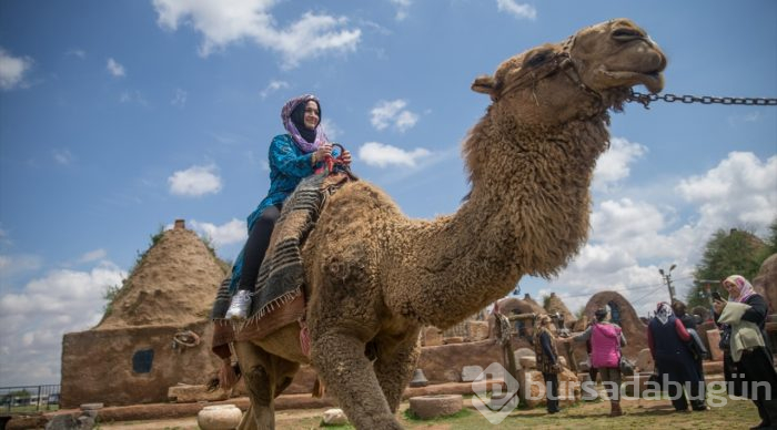UNESCO adayı Harran'da turizm bereketi
