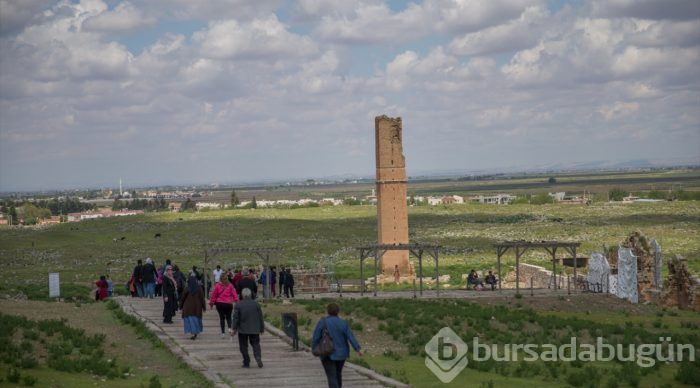 UNESCO adayı Harran'da turizm bereketi

