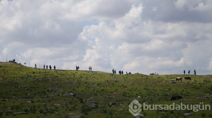 UNESCO adayı Harran'da turizm bereketi
