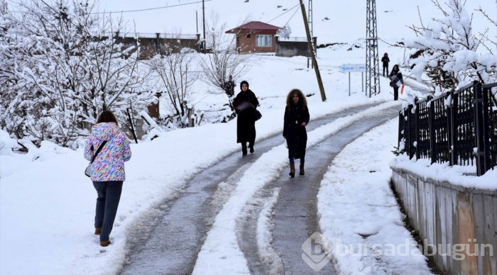 Kar yağdı, 82 yerleşim yerinin yolu kapandı
