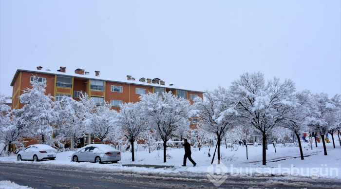 Kar yağdı, 82 yerleşim yerinin yolu kapandı
