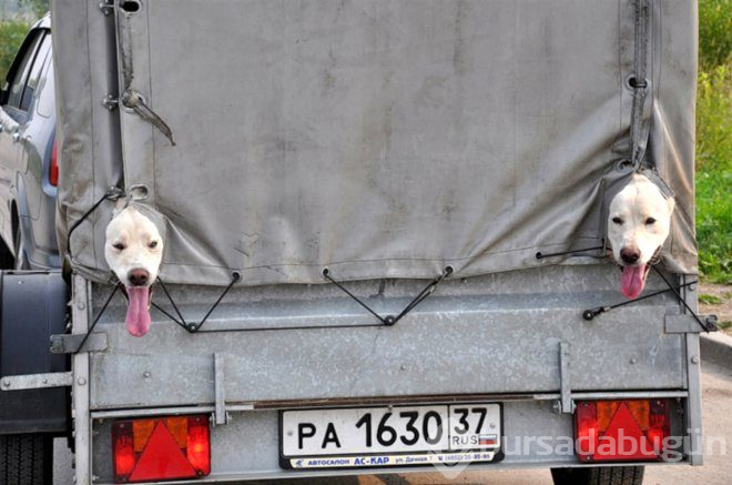 Hayrete düşüren anlar! Metroya tabutla bindiler