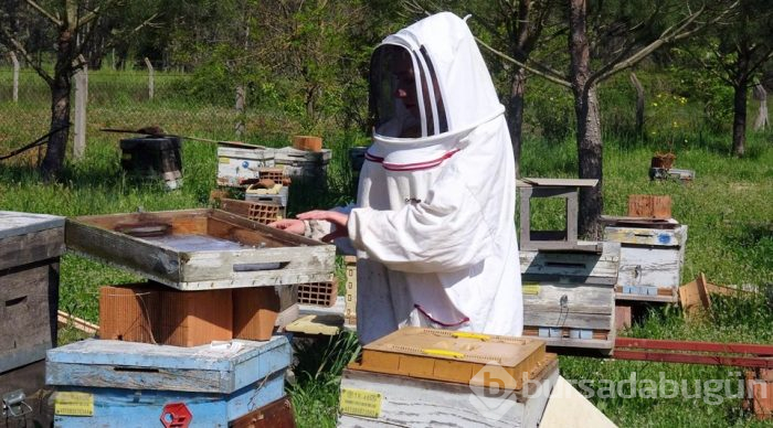 Adli tıpta kimyager olacaktı, arı ürünlerinden krem yapıyor