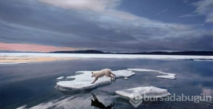 Dünyanın en güzel 40 doğa fotoğrafı
