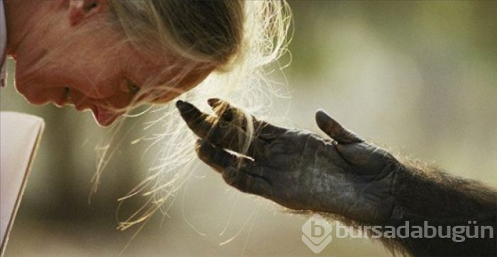 Dünyanın en güzel 40 doğa fotoğrafı
