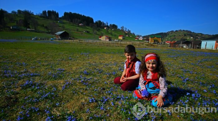Foto safarinin gözde adresi: Kadıralak Yaylası
