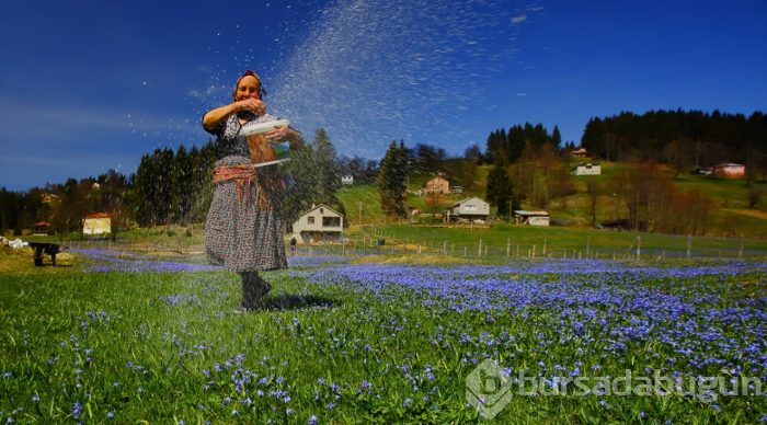 Foto safarinin gözde adresi: Kadıralak Yaylası
