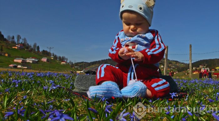 Foto safarinin gözde adresi: Kadıralak Yaylası
