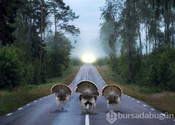 Günün en çok paylaşılan fotoğrafları (25.04.2019)