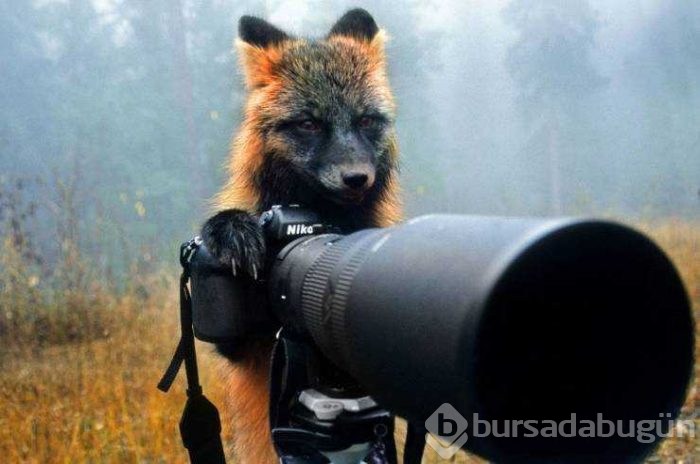 Günün en çok paylaşılan fotoğrafları (25.04.2019)