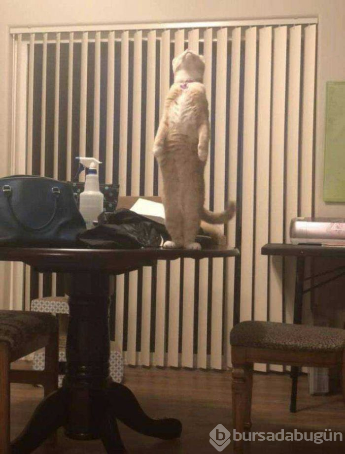 Günün en çok paylaşılan fotoğrafları (25.04.2019)