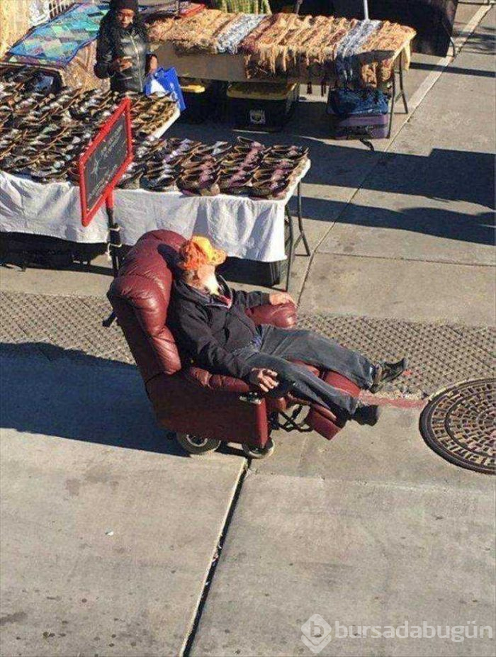 Günün en çok paylaşılan fotoğrafları (25.04.2019)