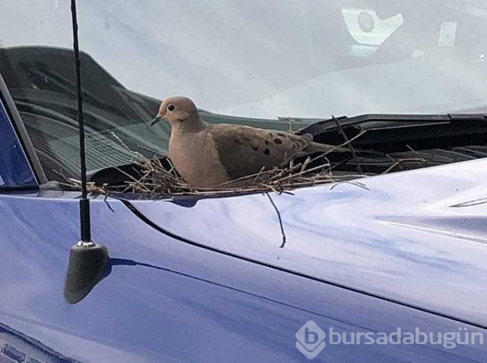 Günün en çok paylaşılan fotoğrafları (25.04.2019)