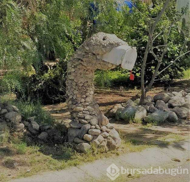 Günün en çok paylaşılan fotoğrafları (25.04.2019)