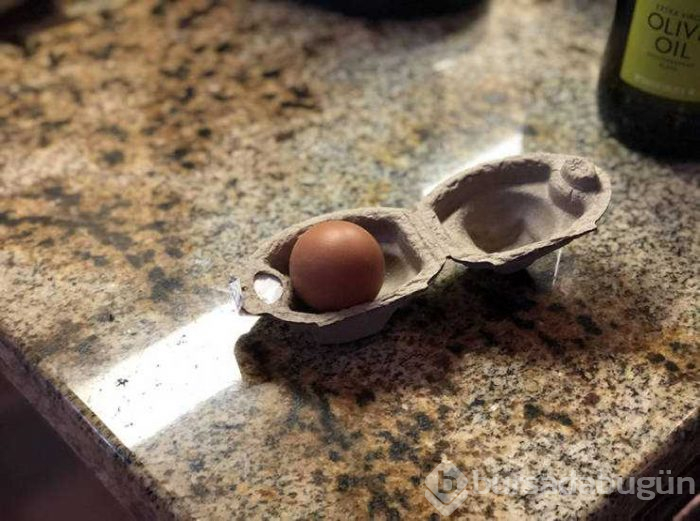 Günün en çok paylaşılan fotoğrafları (25.04.2019)