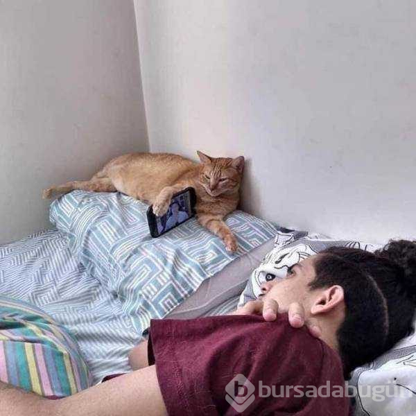 Günün en çok paylaşılan fotoğrafları (25.04.2019)