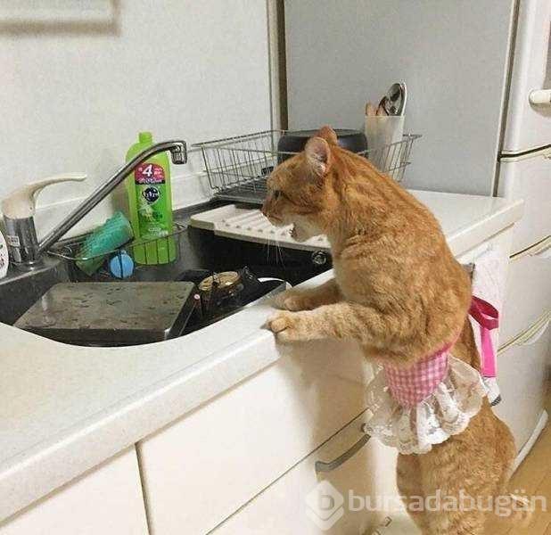Günün en çok paylaşılan fotoğrafları (25.04.2019)