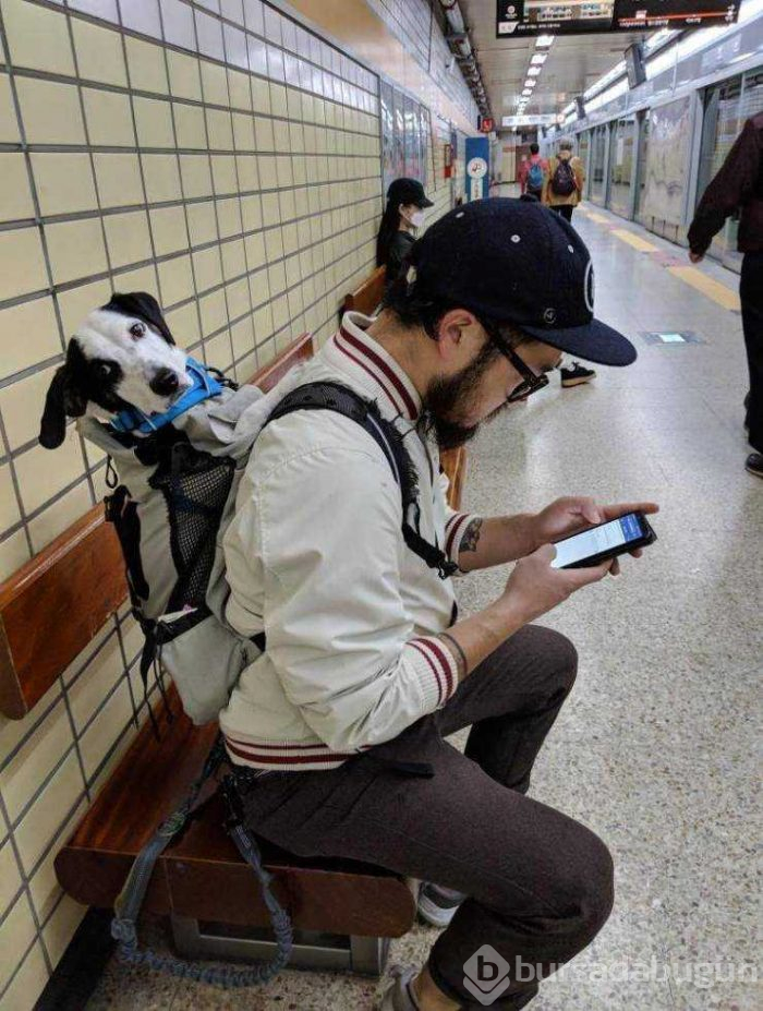 Günün en çok paylaşılan fotoğrafları (25.04.2019)