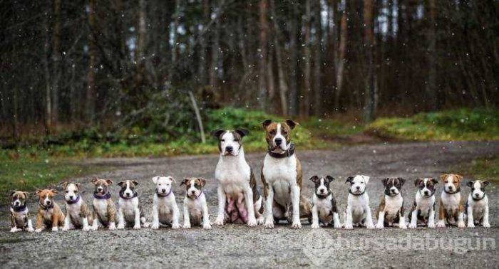 Günün en çok paylaşılan fotoğrafları (26.04.2019)