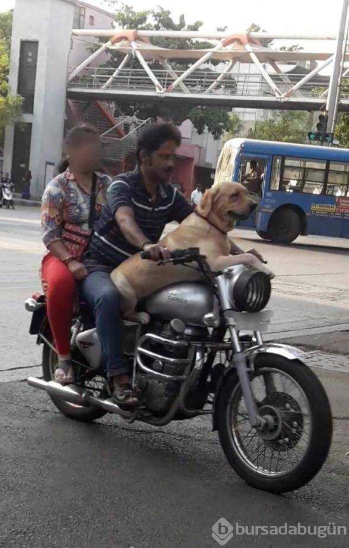 Günün en çok paylaşılan fotoğrafları (26.04.2019)