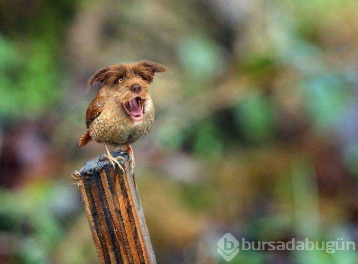 Günün en çok paylaşılan fotoğrafları (26.04.2019)