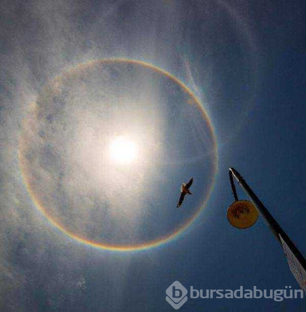 Günün en çok paylaşılan fotoğrafları (26.04.2019)