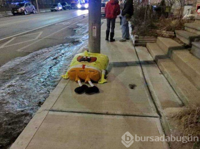 Günün en çok paylaşılan fotoğrafları (26.04.2019)