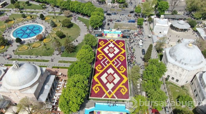  Sultanahmet'te dünyanın en büyük lale halısı 