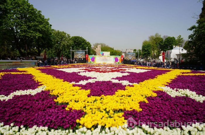  Sultanahmet'te dünyanın en büyük lale halısı 