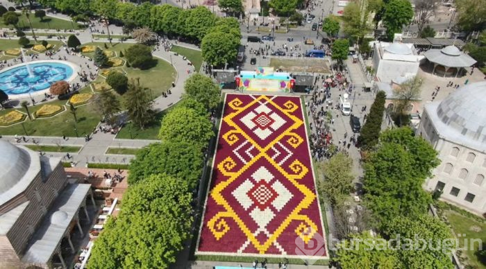  Sultanahmet'te dünyanın en büyük lale halısı 