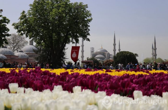  Sultanahmet'te dünyanın en büyük lale halısı 