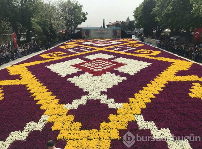 Sultanahmet'te dünyanın en büyük lale halısı 
