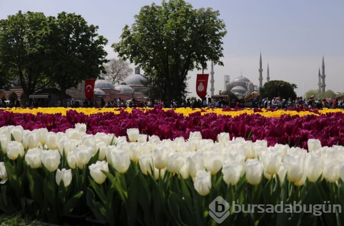  Sultanahmet'te dünyanın en büyük lale halısı 