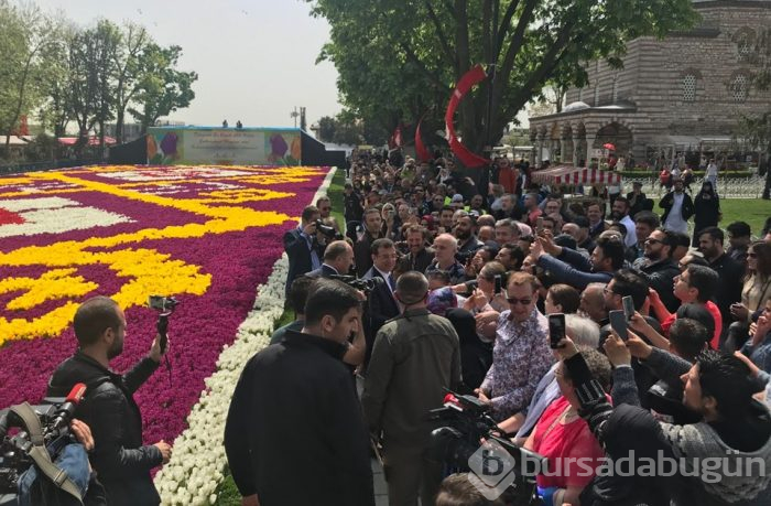  Sultanahmet'te dünyanın en büyük lale halısı 