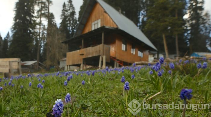Batı Karadeniz yaylalarında iki mevsim güzelliği
