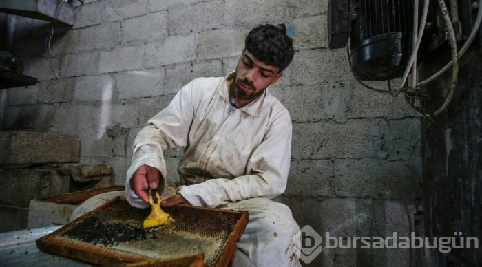  Gazze'de bal hasadı 