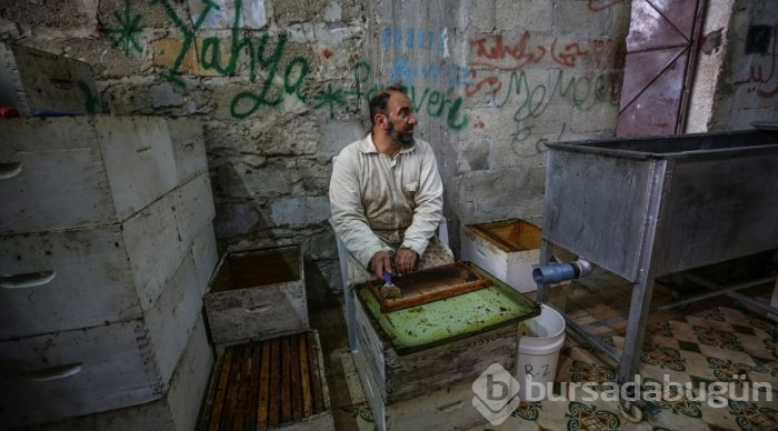  Gazze'de bal hasadı 