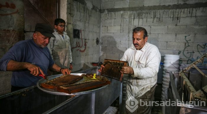  Gazze'de bal hasadı 