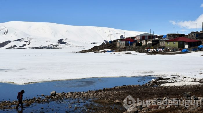 Doğu Anadolu'nun saklı cennetinde "beyaz" güzellik
