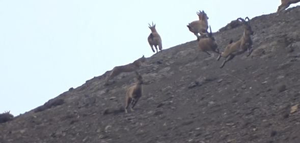  Burası Erzincan... O an böyle görüntülendi! 