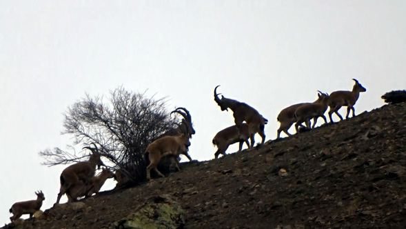  Burası Erzincan... O an böyle görüntülendi! 