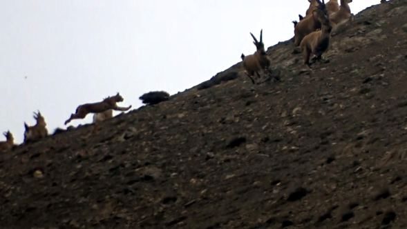  Burası Erzincan... O an böyle görüntülendi! 