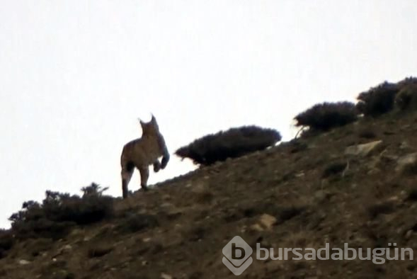  Burası Erzincan... O an böyle görüntülendi! 