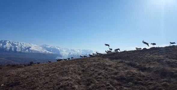  Burası Erzincan... O an böyle görüntülendi! 