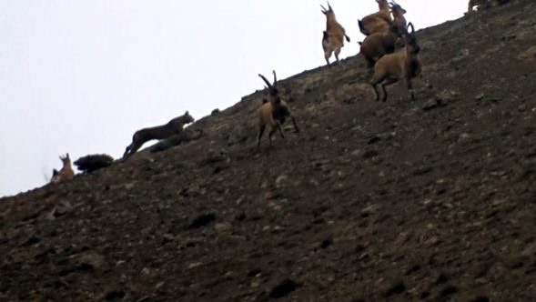  Burası Erzincan... O an böyle görüntülendi! 